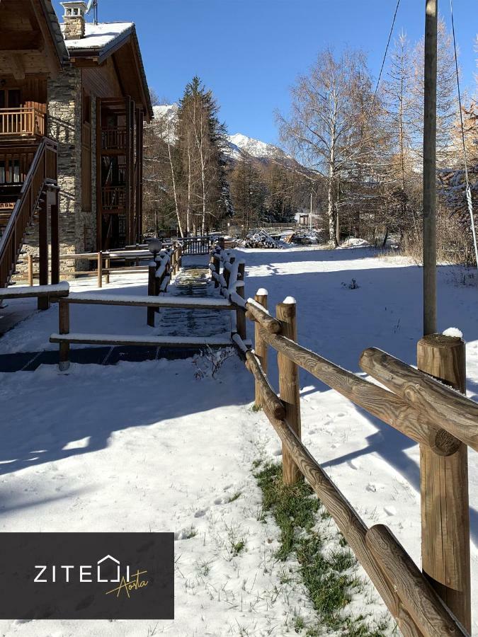 Zitelli Aosta Villa Cogne Luaran gambar
