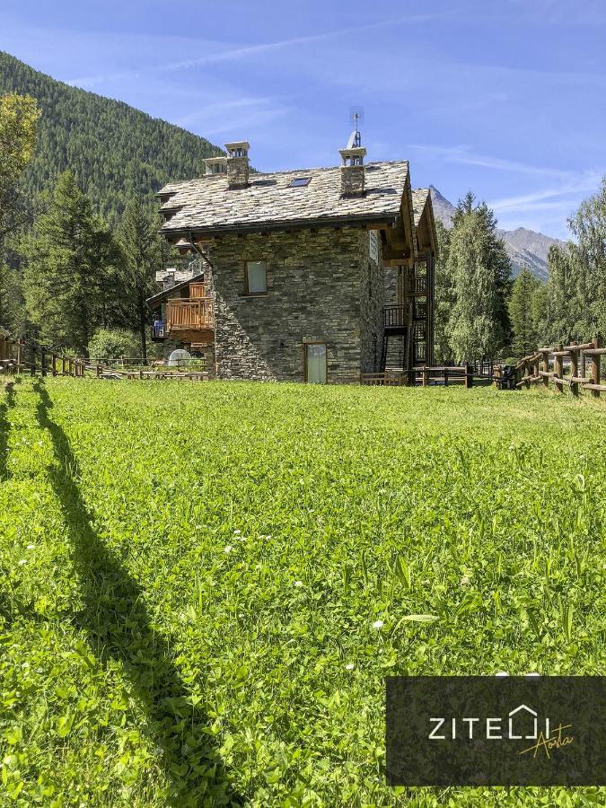 Zitelli Aosta Villa Cogne Luaran gambar
